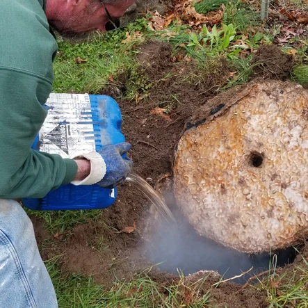 d37c53_f7a7f7276a214b388b625925d5a3463a~mv2